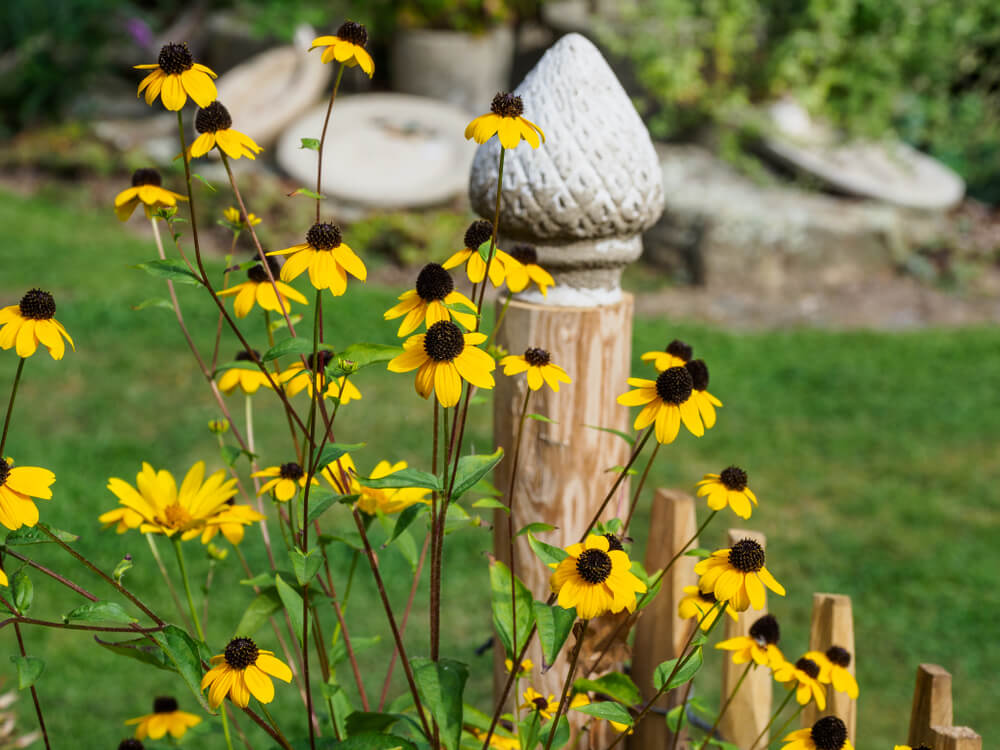 Revamping open spaces